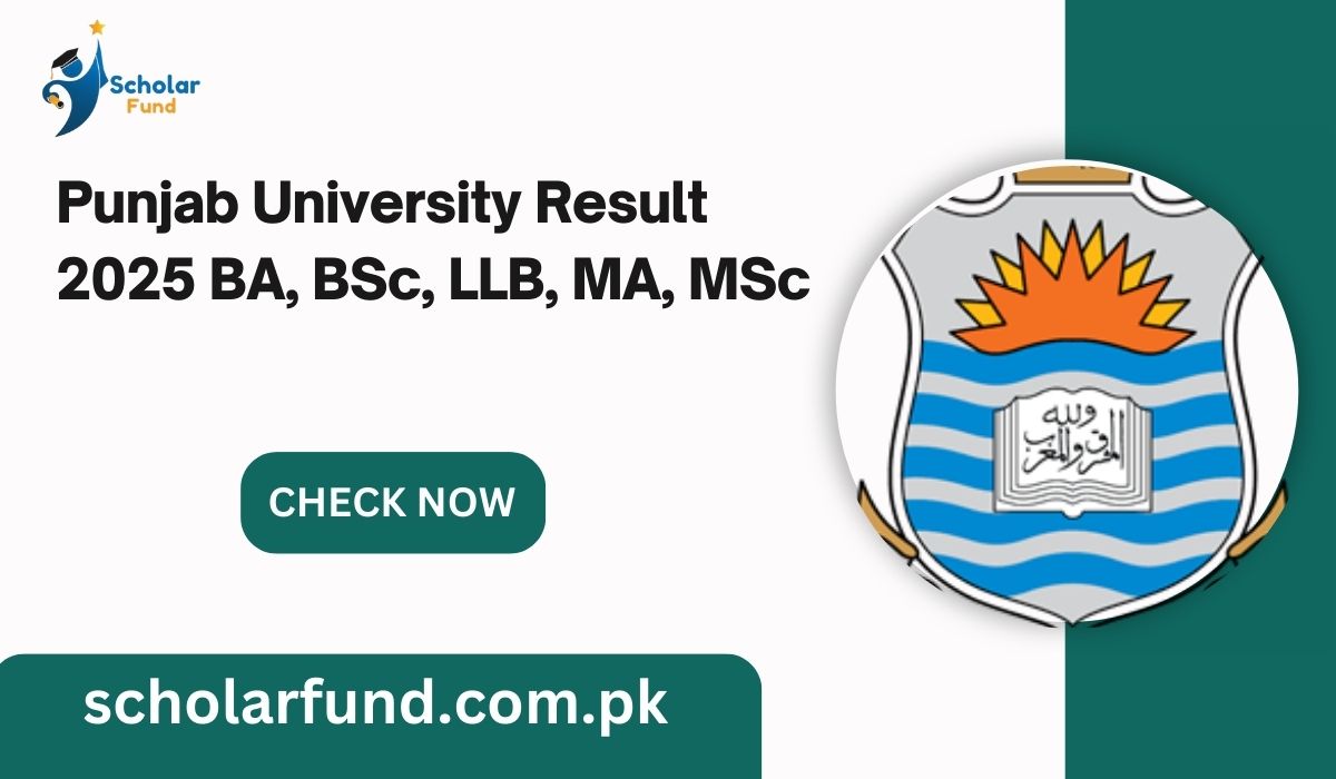 Punjab University Result 2025 BA, BSc, LLB, MA, MSc check online